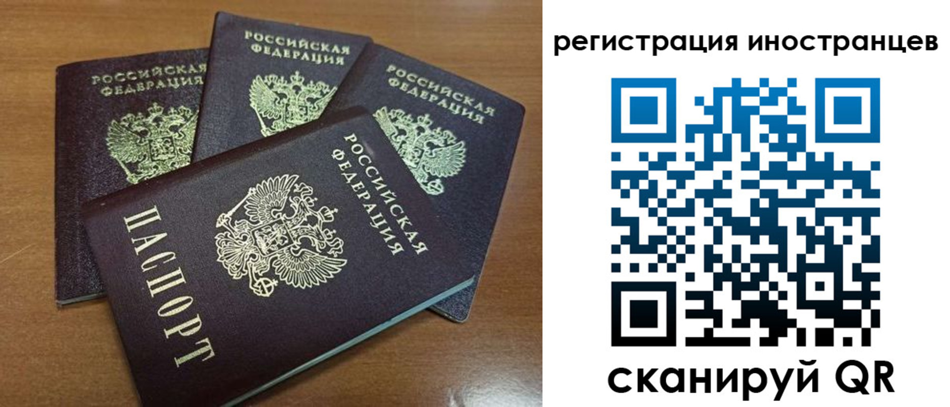 временная регистрация надежно в Димитровграде